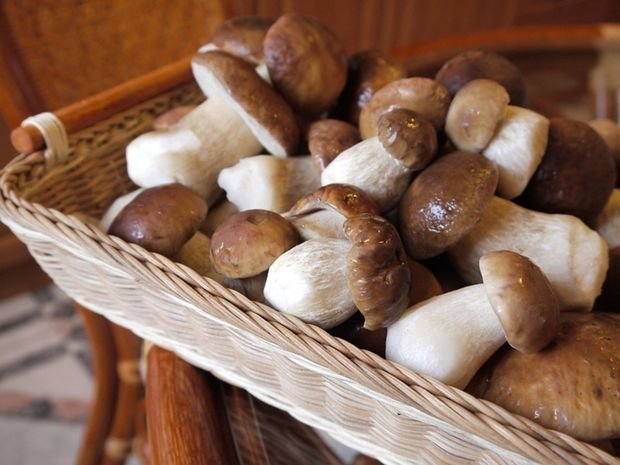 Как заморозить свежие грибы шампиньоны в домашних условиях: фото, рецепты заготовки разными способами