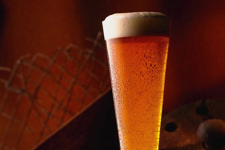 Особое дикое пиво (wild specialty beer) – описание пива