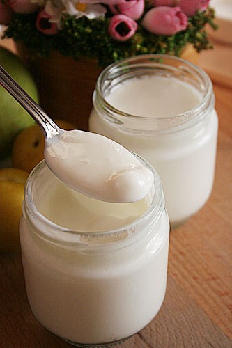 Приготовление йогурта в йогуртнице рецепт в домашних условиях