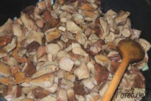 Вкусные блюда из маслят: фото и рецепты, что можно приготовить из этих грибов
